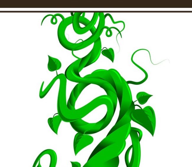 Bean Stalk By Mark Thornton